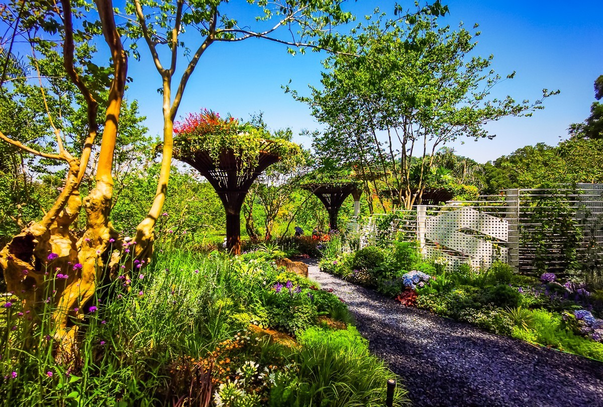 深圳仙湖植物园掠影