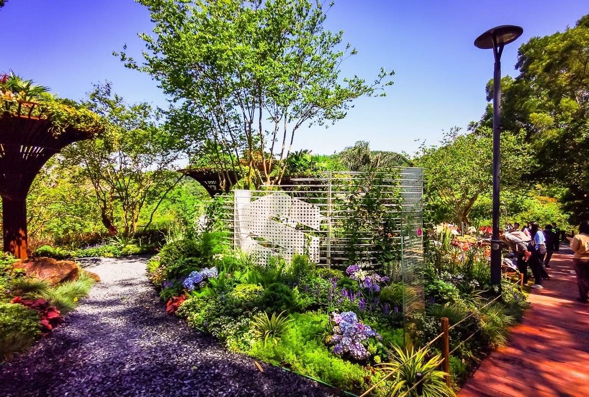 深圳仙湖植物园掠影