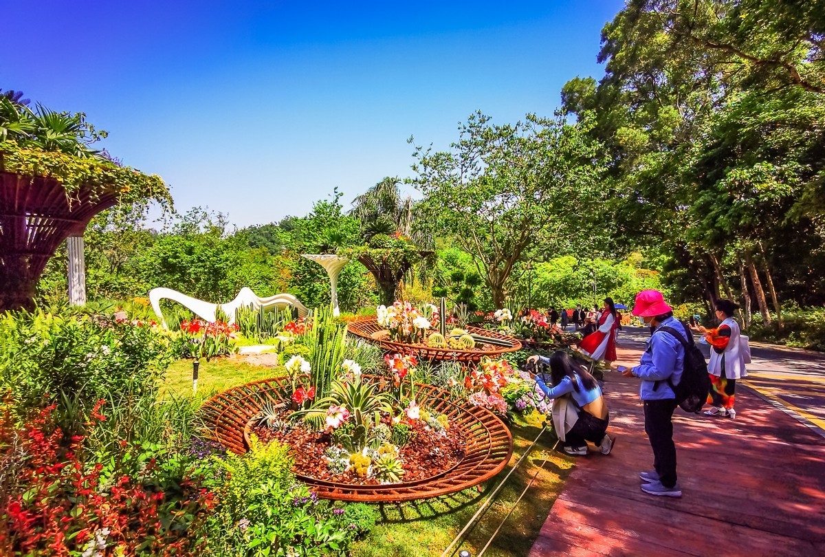 深圳仙湖植物园掠影
