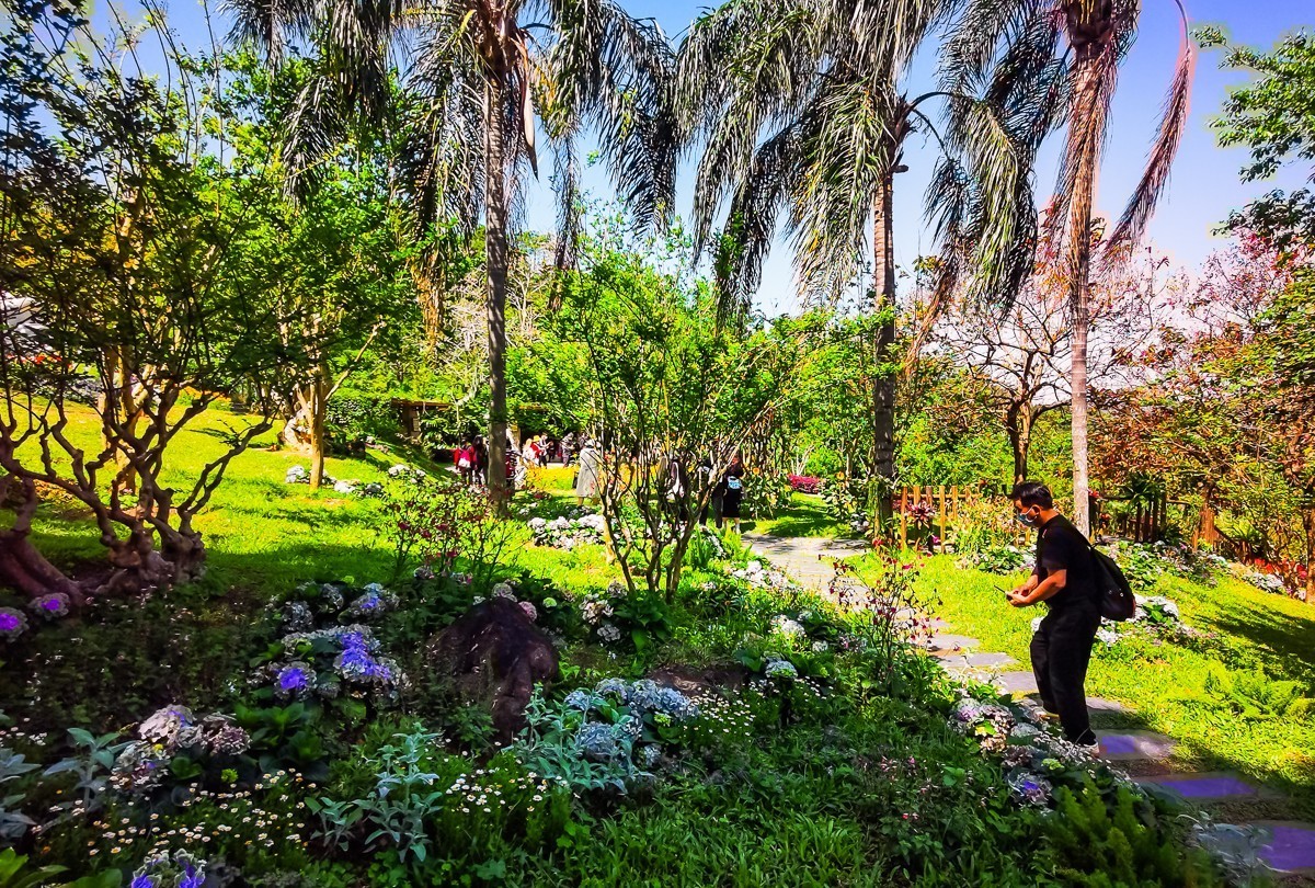 深圳仙湖植物园掠影