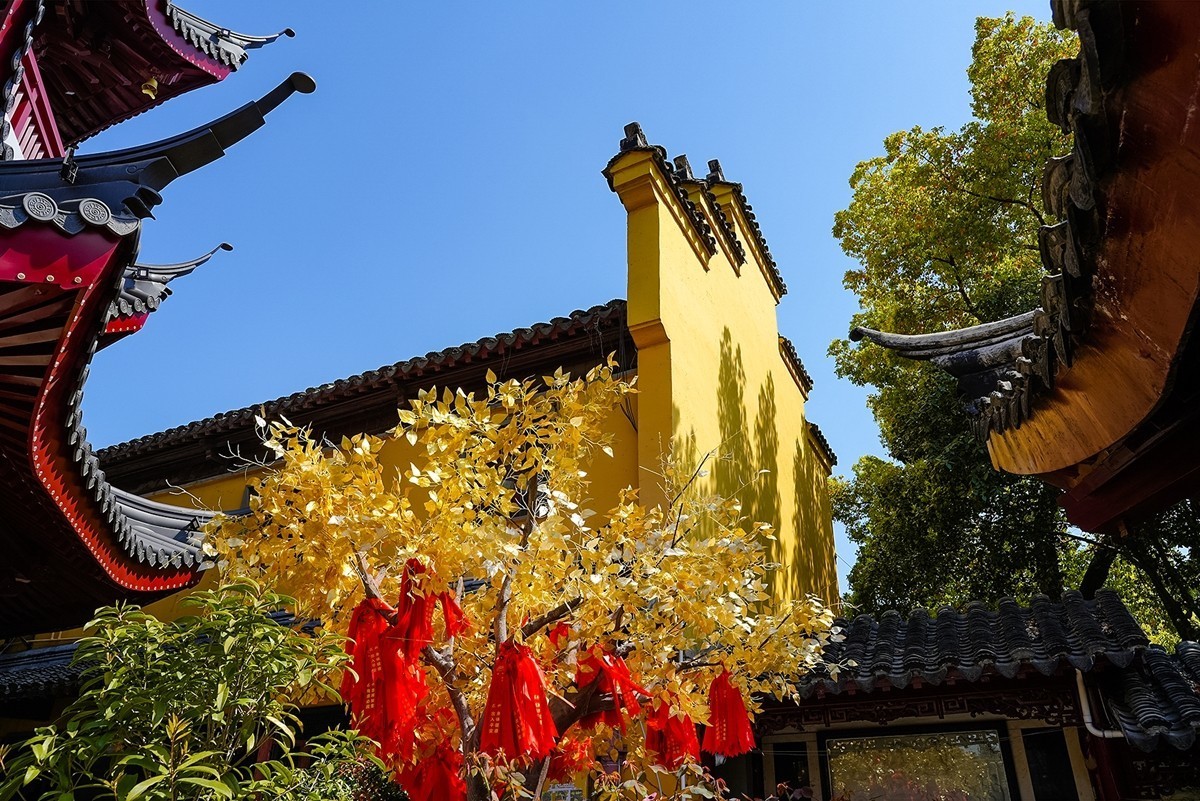 2025年第0371贴-南京鸡鸣寺旅拍（0601）