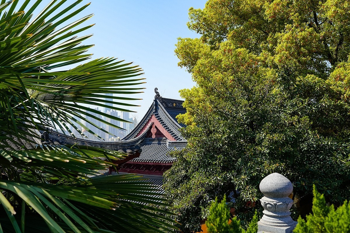 2025年第0371贴-南京鸡鸣寺旅拍（0601）