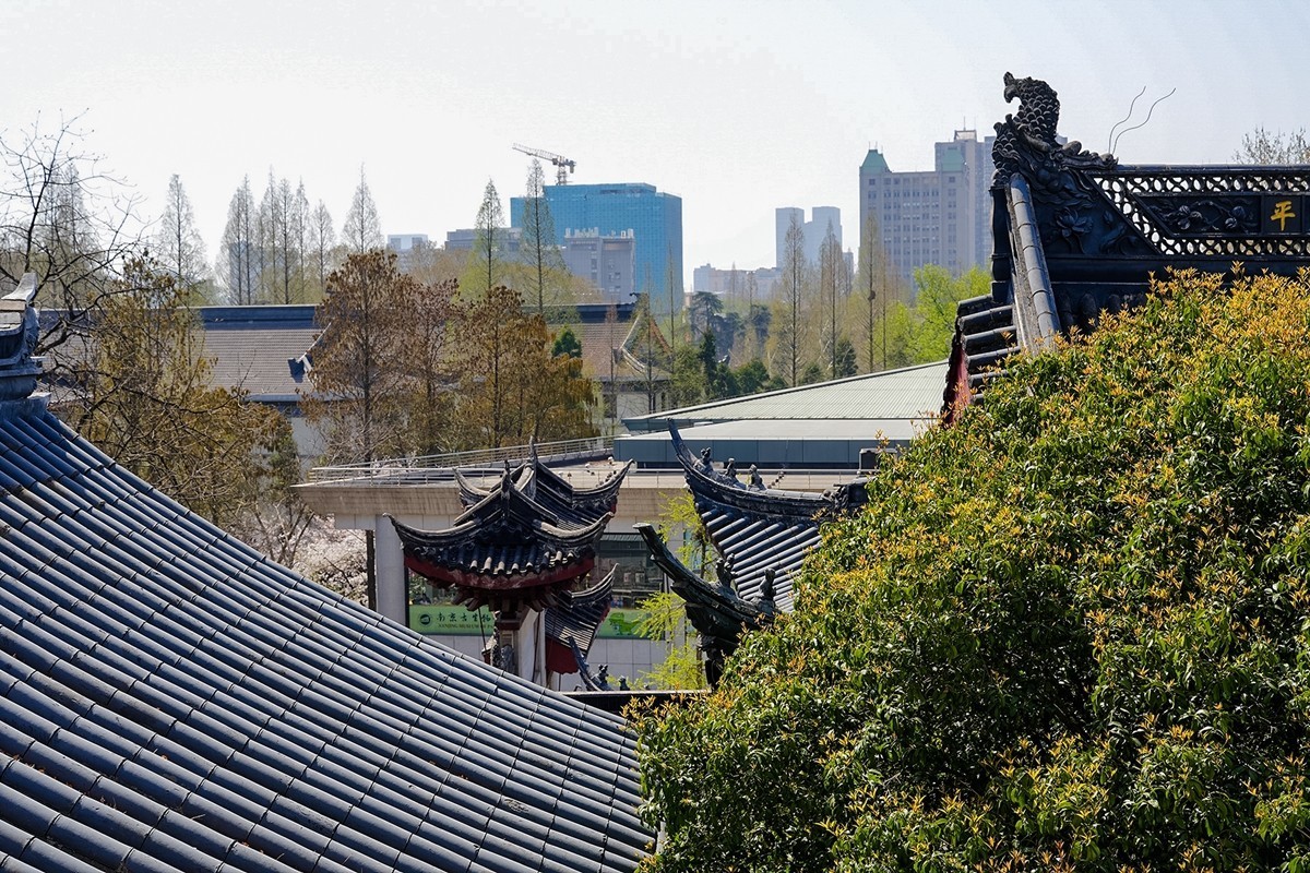 2025年第0371贴-南京鸡鸣寺旅拍（0601）