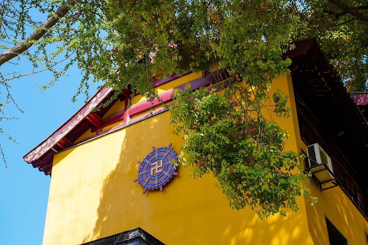 2025年第0371贴-南京鸡鸣寺旅拍（0601）