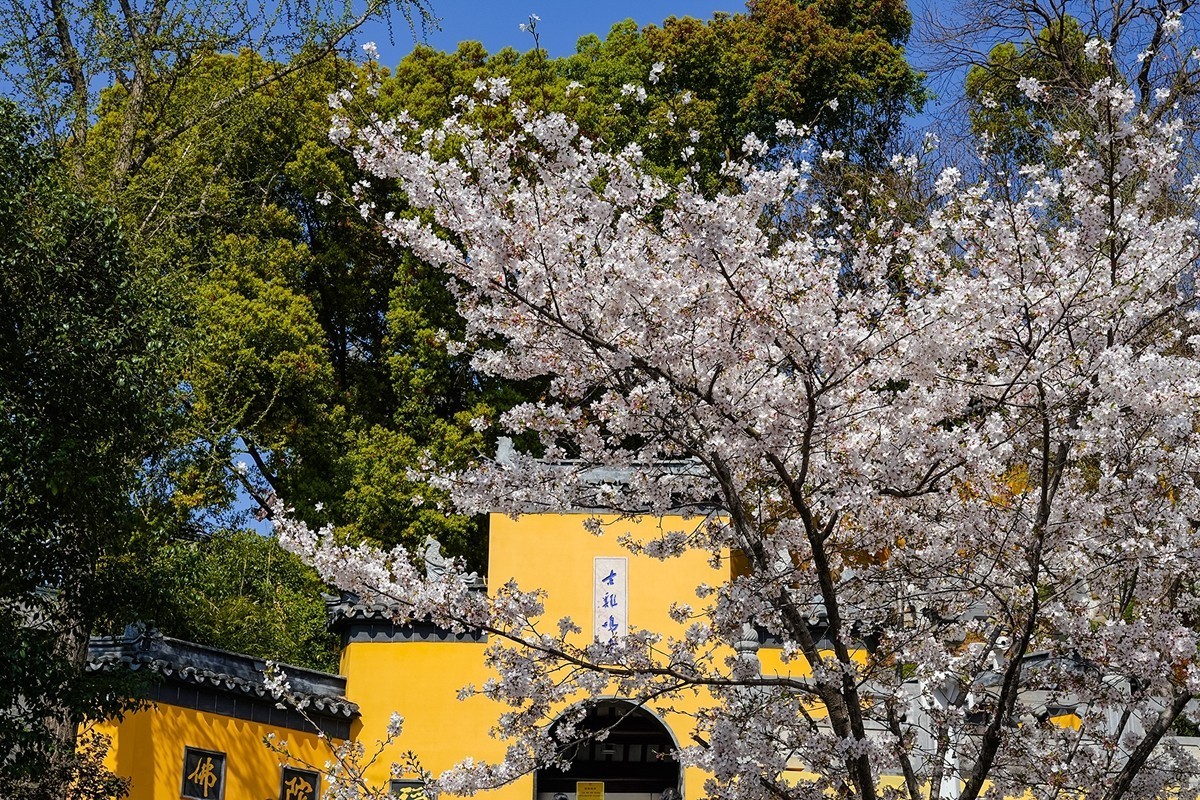 2025年第0370贴-南京鸡鸣寺旅拍（0601）