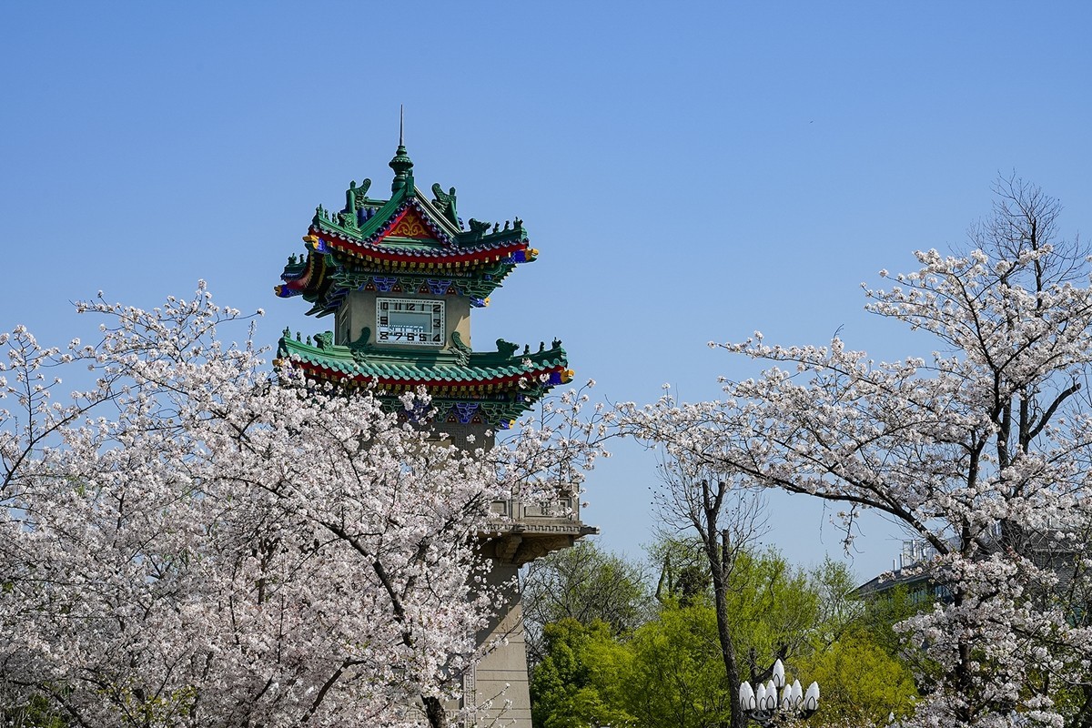 2025年第0370贴-南京鸡鸣寺旅拍（0601）