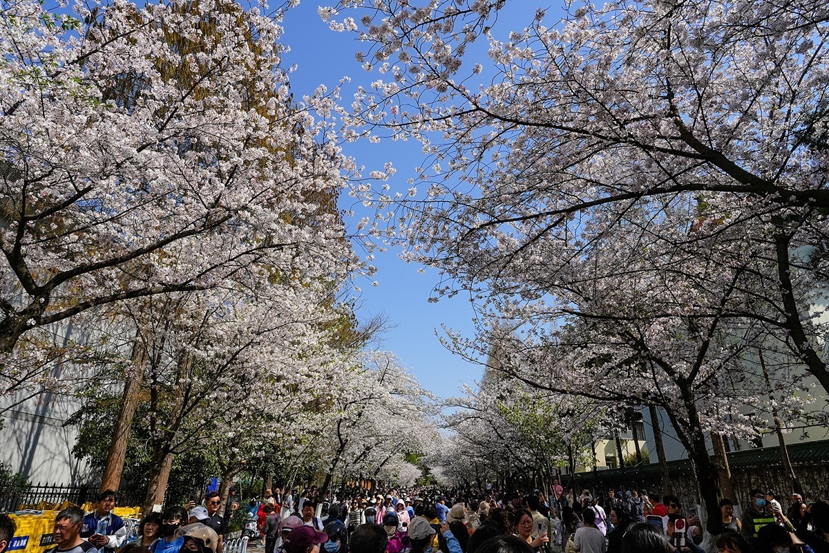 2025年第0370贴-南京鸡鸣寺旅拍（0601）