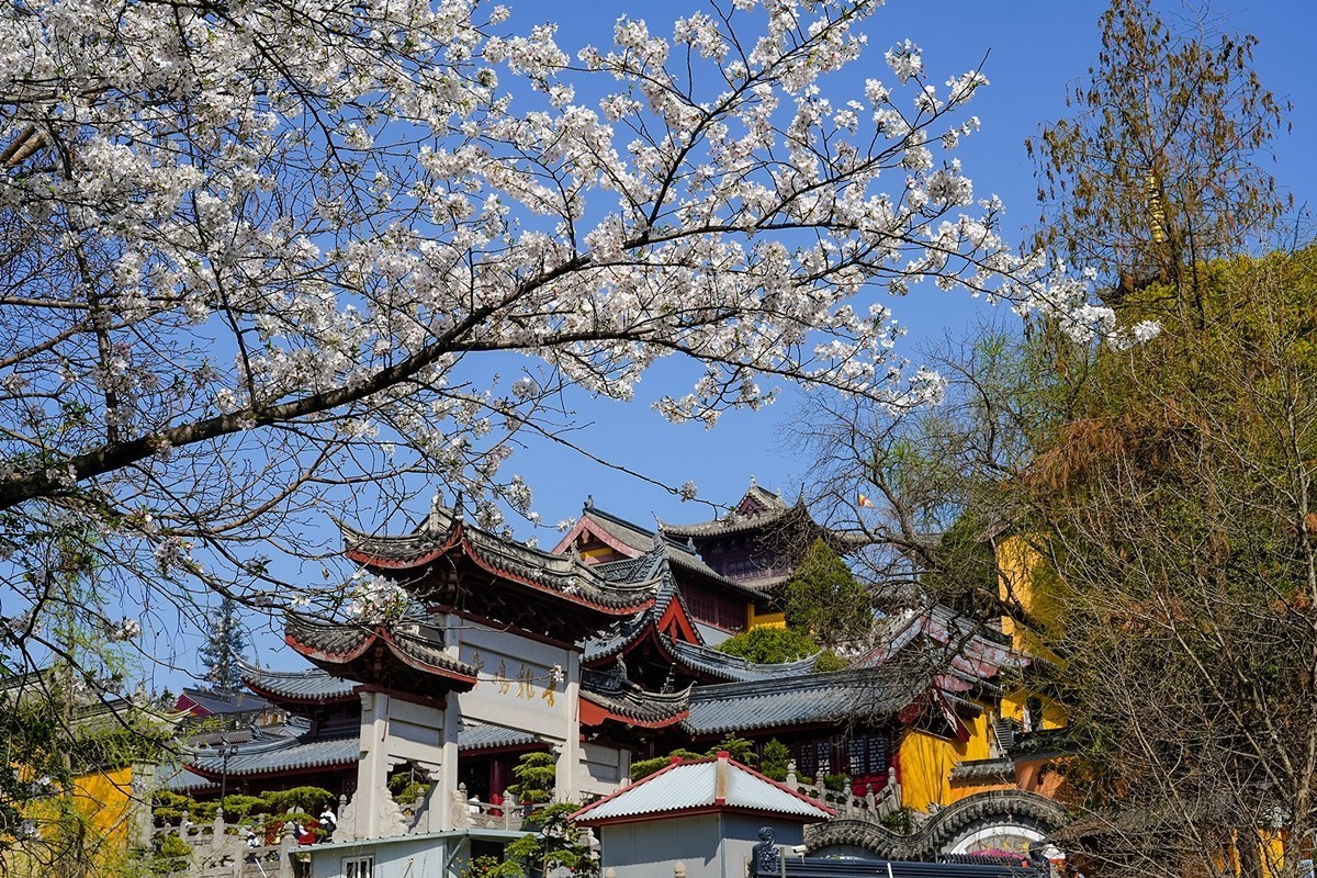 2025年第0370贴-南京鸡鸣寺旅拍（0601）