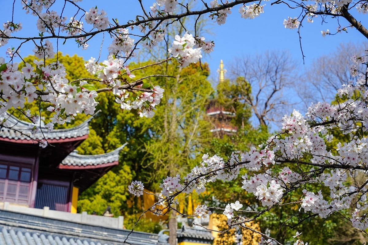 2025年第0370贴-南京鸡鸣寺旅拍（0601）