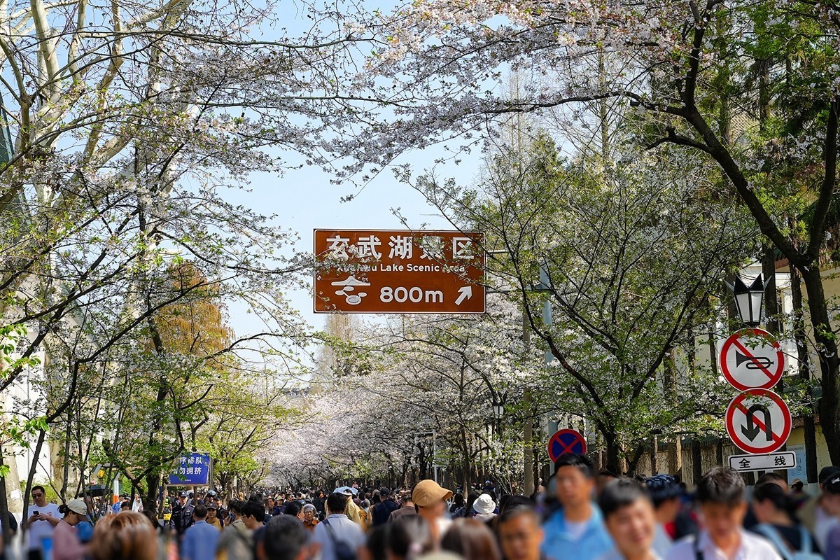 2025年第0370贴-南京鸡鸣寺旅拍（0601）