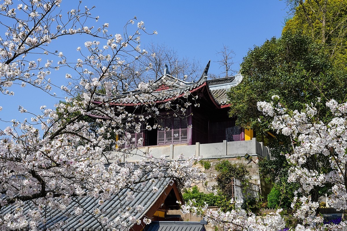 2025年第0370贴-南京鸡鸣寺旅拍（0601）