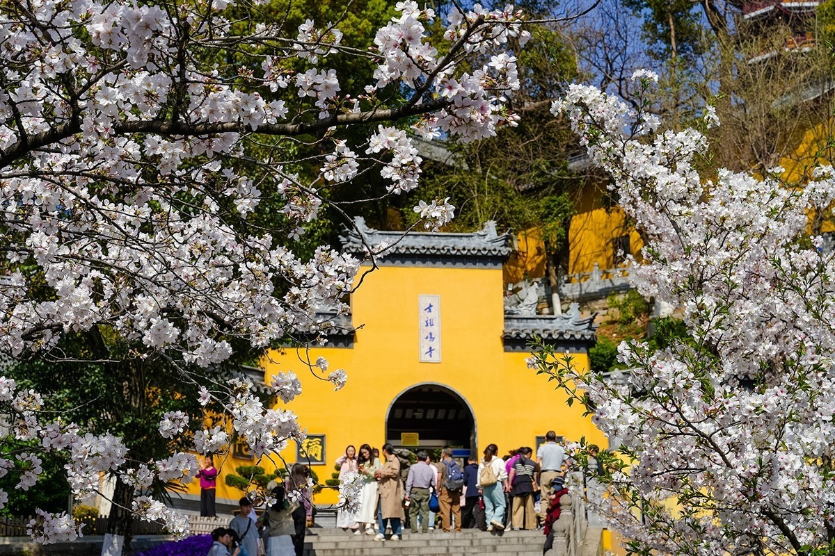 2025年第0370贴-南京鸡鸣寺旅拍（0601）