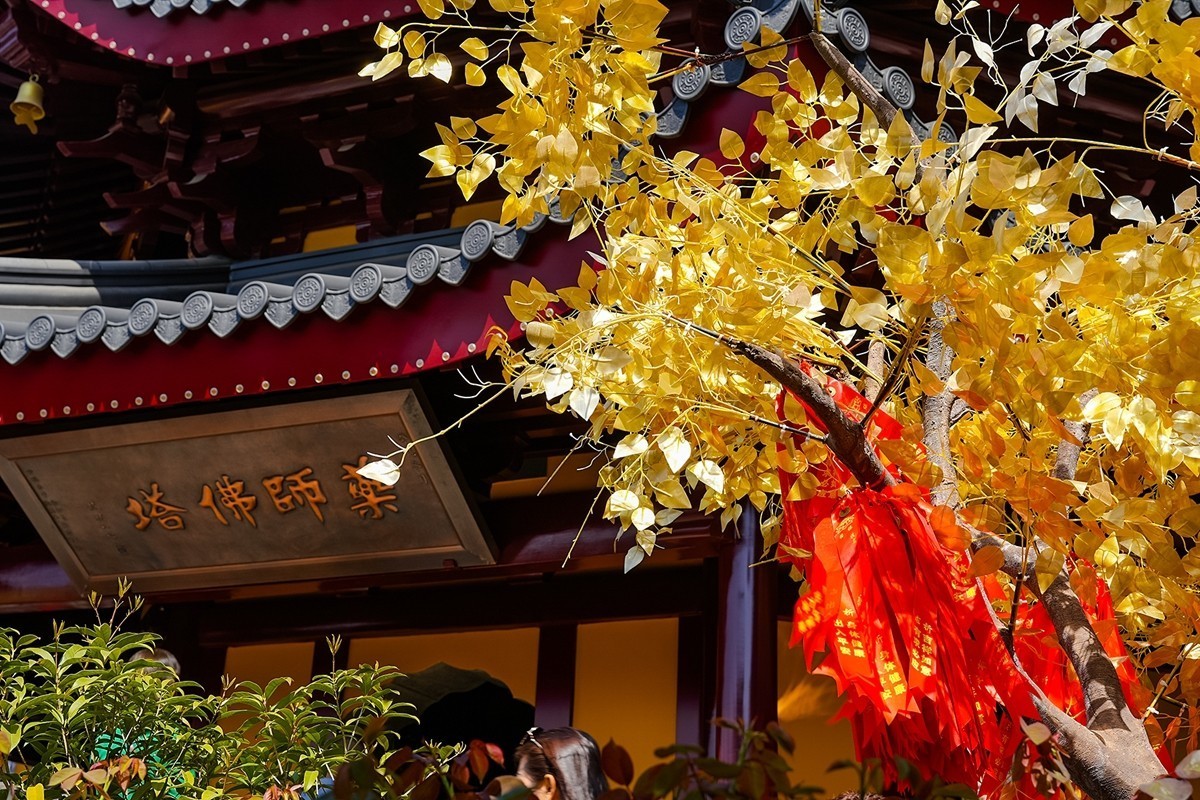 2025年第0372贴-南京鸡鸣寺旅拍（0601）