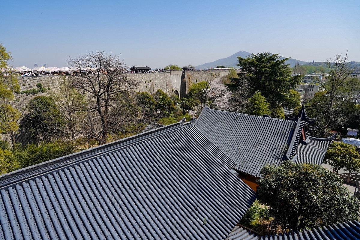 2025年第0372贴-南京鸡鸣寺旅拍（0601）