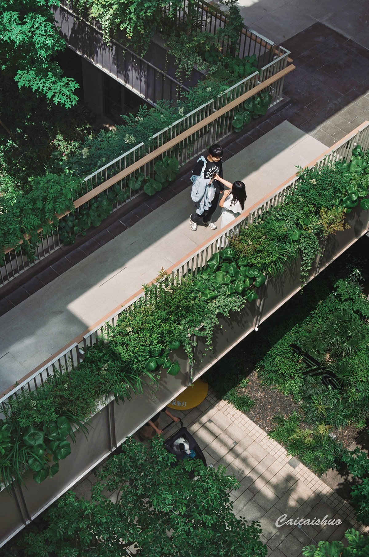 【菜々手摄影】魔都上新所二期探秘