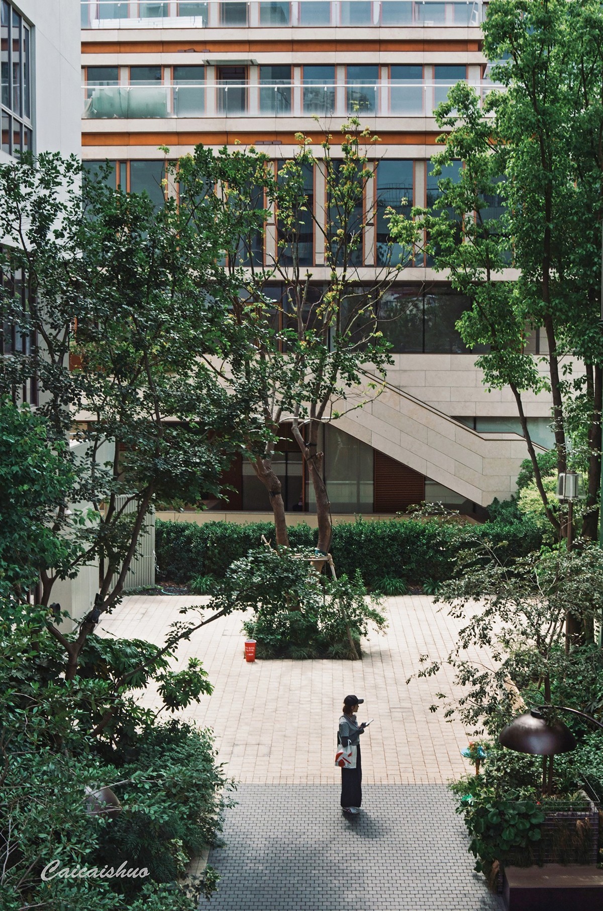 【菜々手摄影】魔都上新所二期探秘