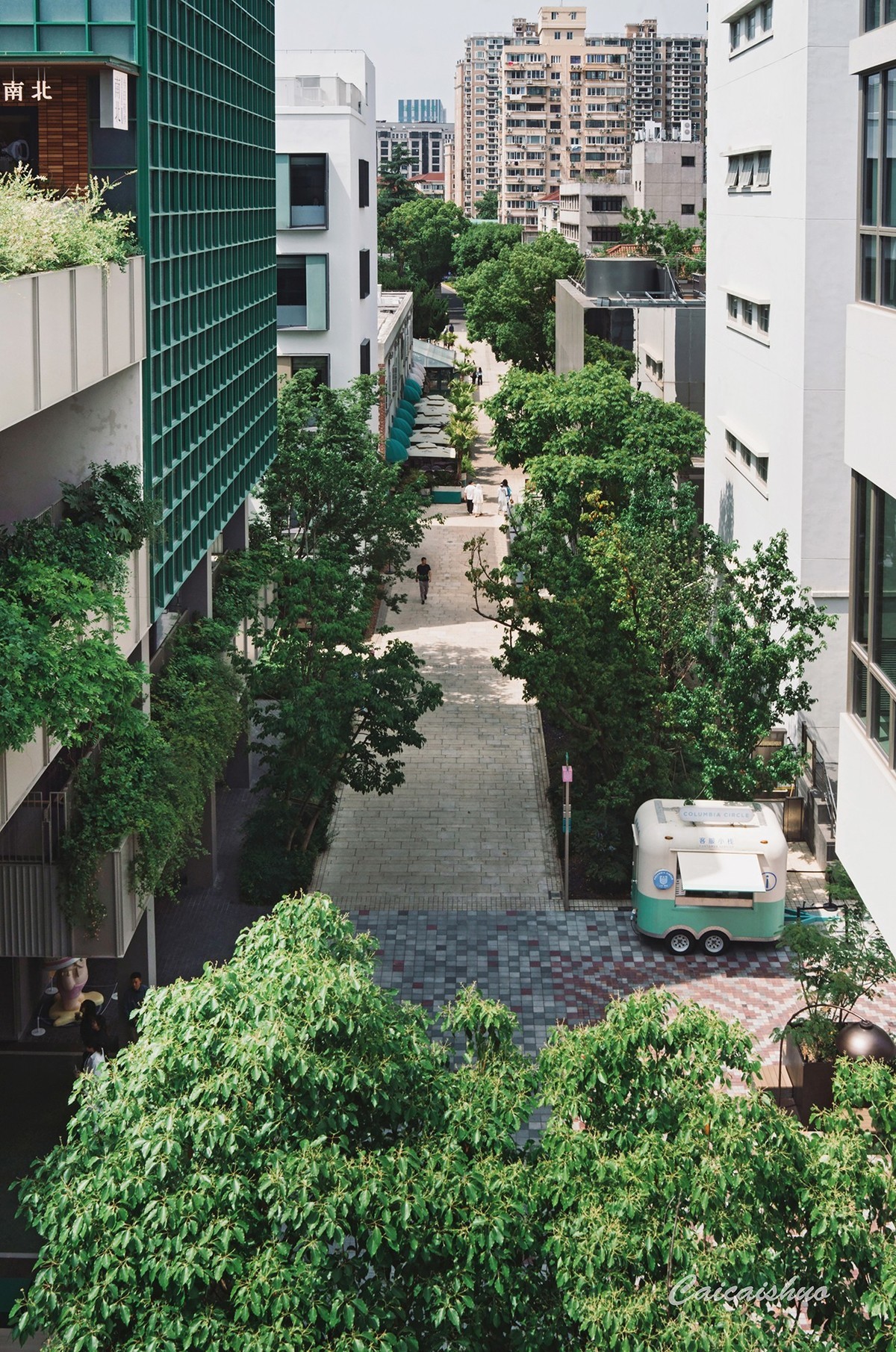 【菜々手摄影】魔都上新所二期探秘