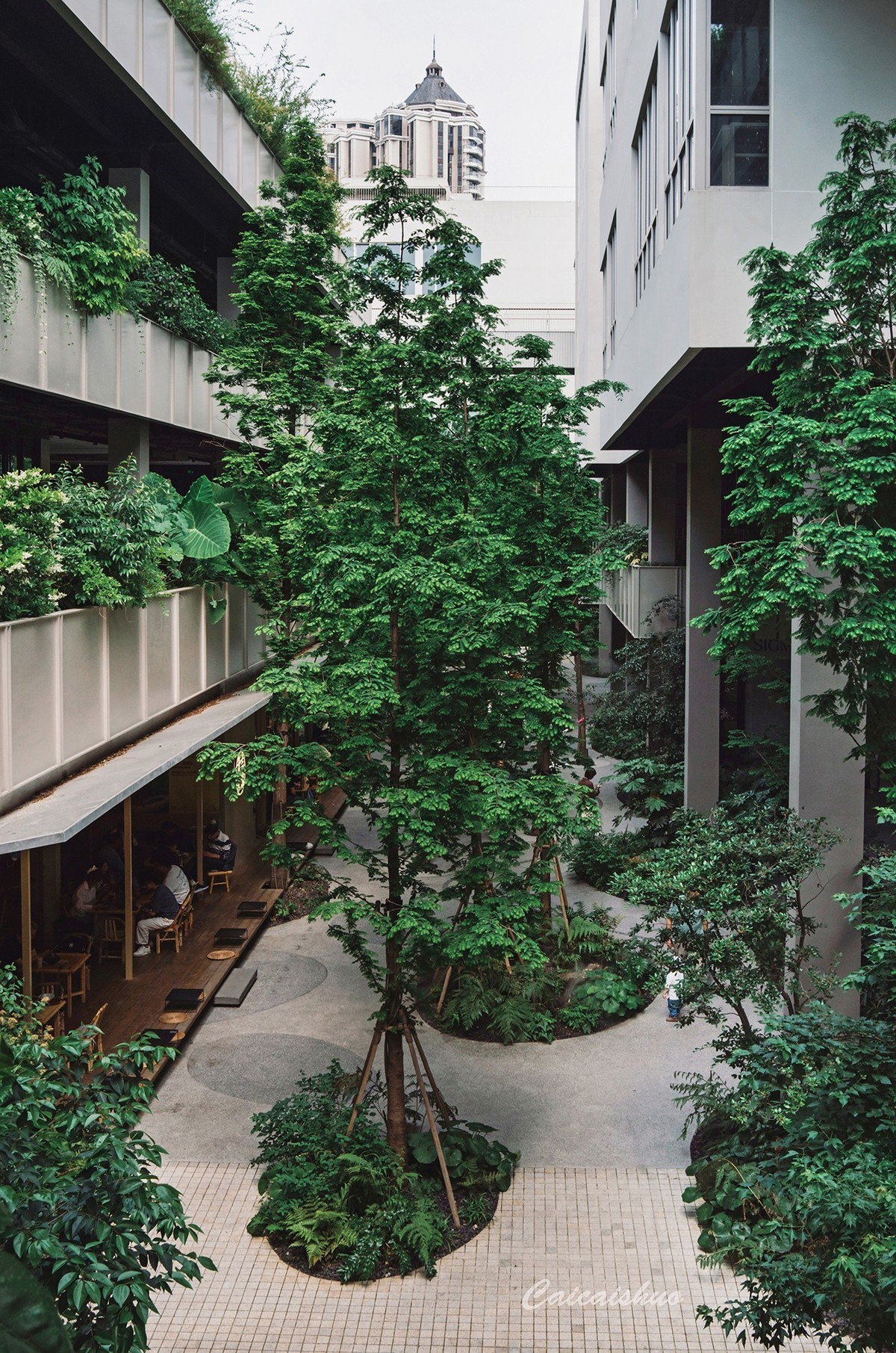 【菜々手摄影】魔都上新所二期探秘