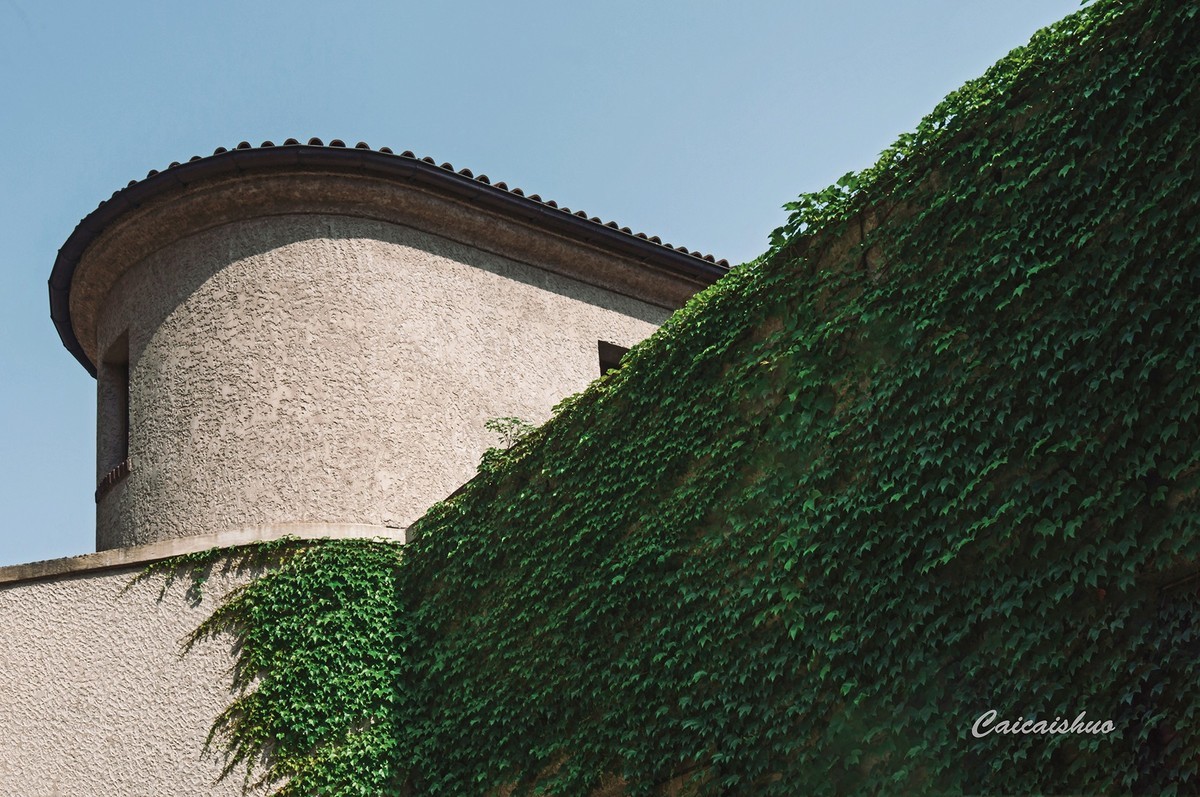 【菜々手摄影】魔都上新所二期探秘