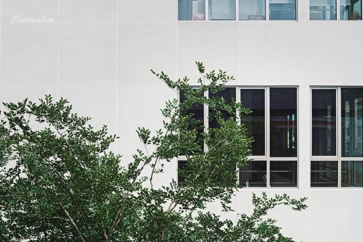 【菜々手摄影】魔都上新所二期探秘