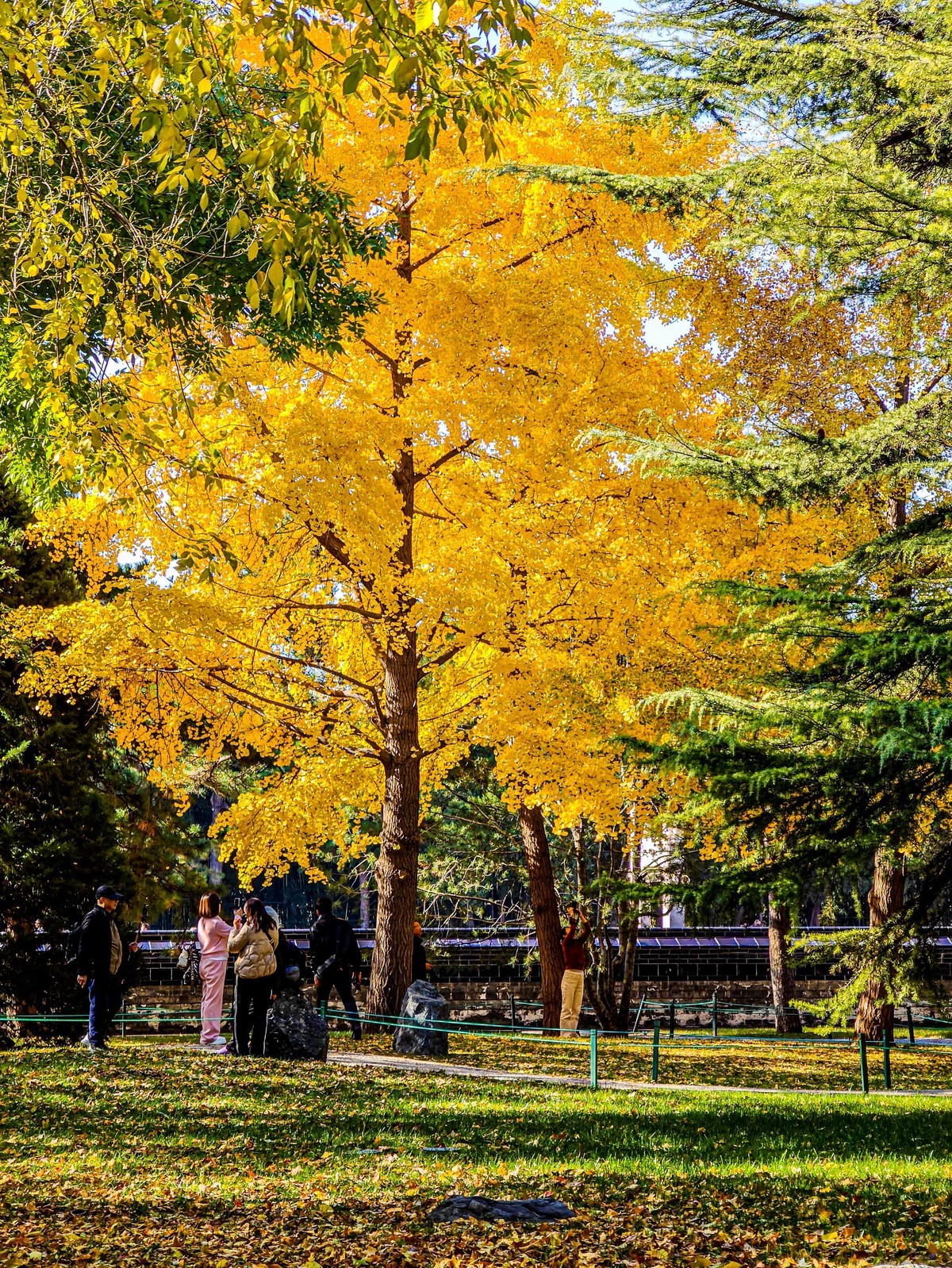 手机游拍20241105《63》