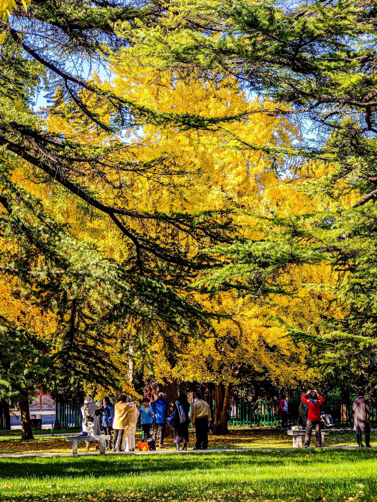 手机游拍20241105《63》