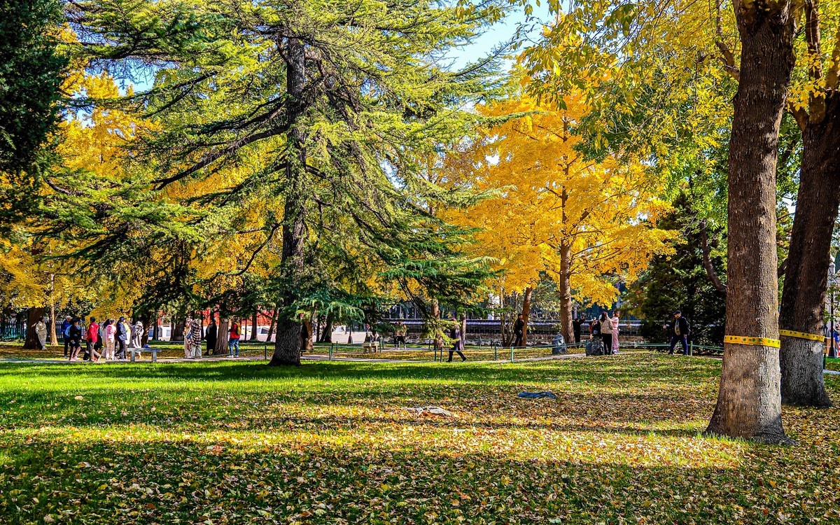 手机游拍20241105《63》