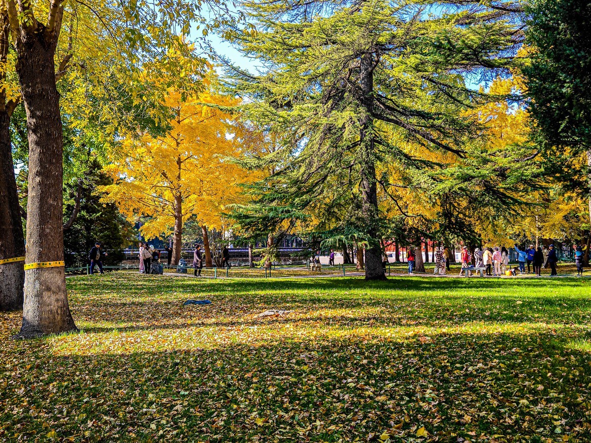 手机游拍20241105《63》