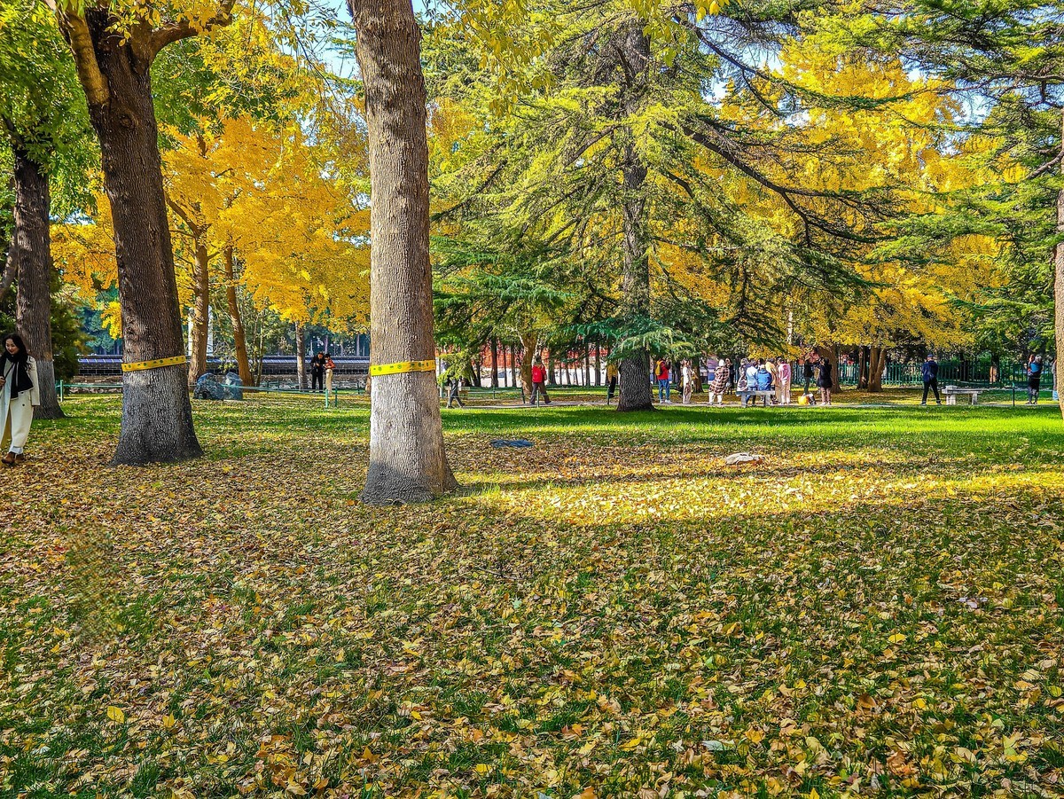 手机游拍20241105《63》