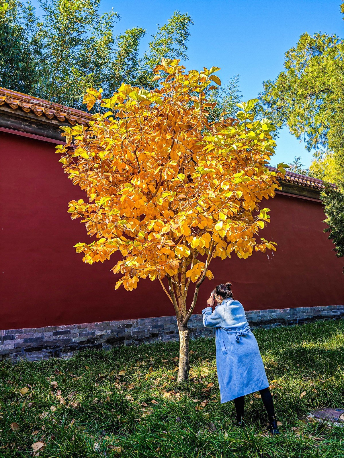 手机游拍20241105《63》