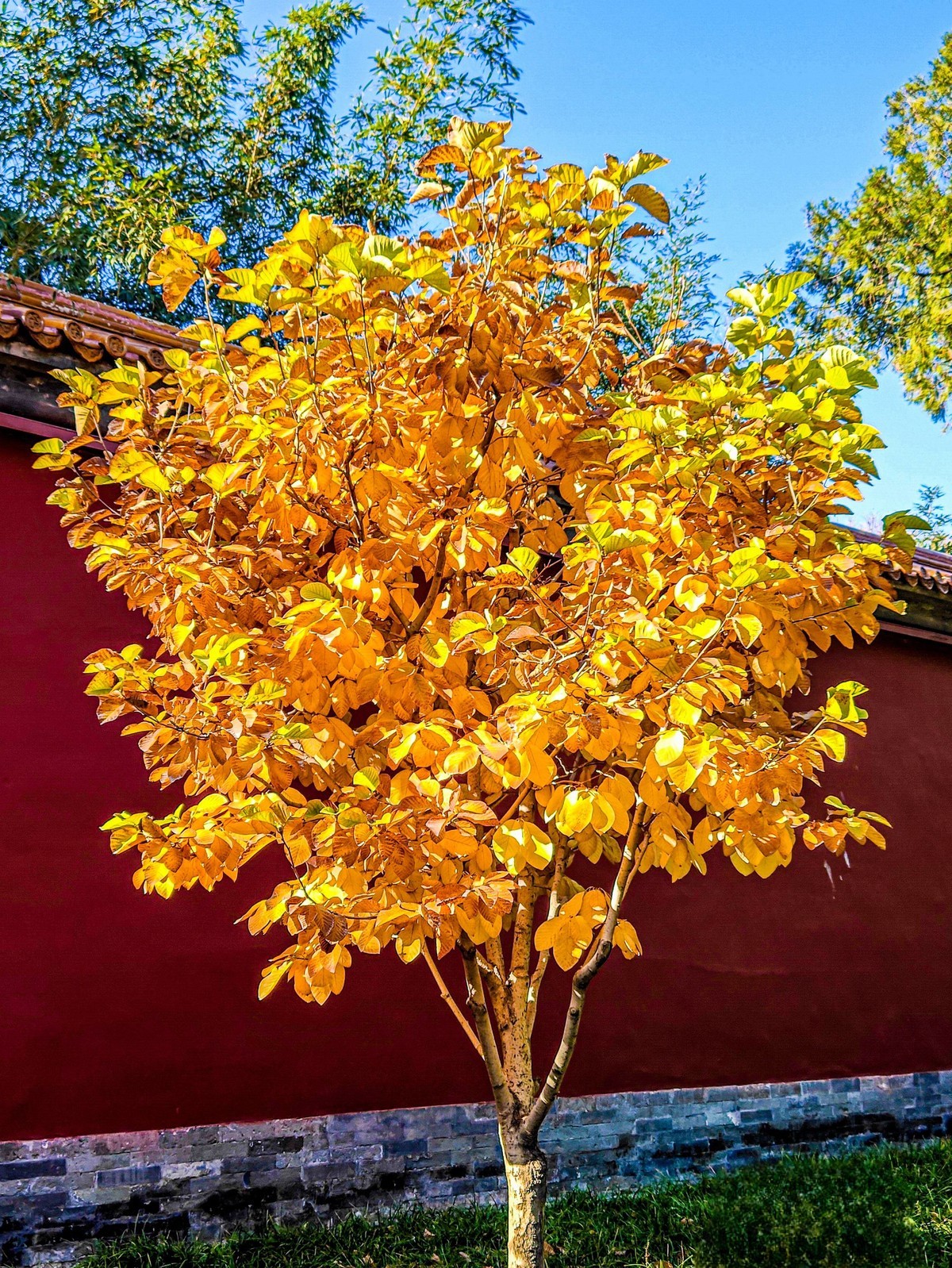 手机游拍20241105《63》