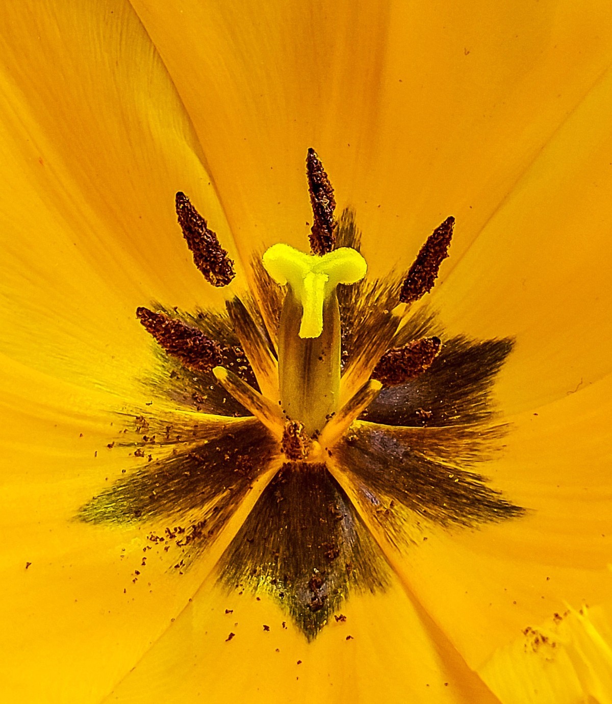 手机游拍20250403《6》