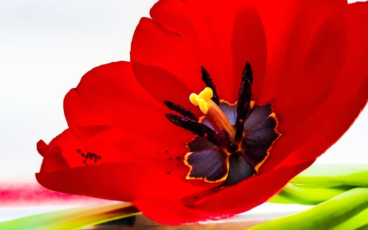 手机游拍20250403《6》