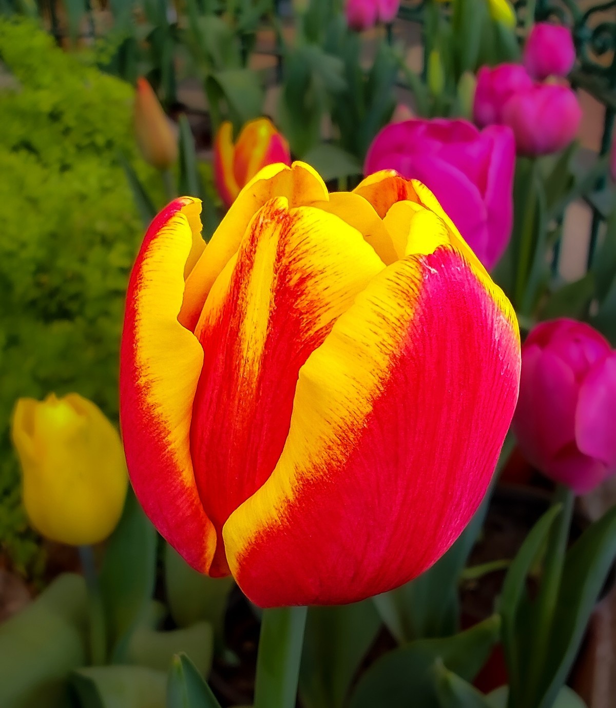 手机游拍20250403《6》