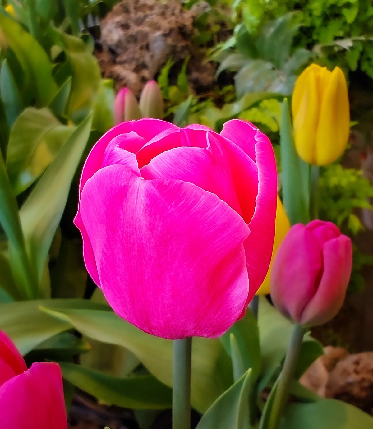 手机游拍20250403《6》