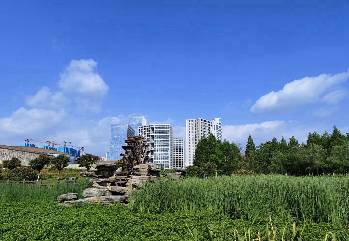 袁隆平水稻搏物馆