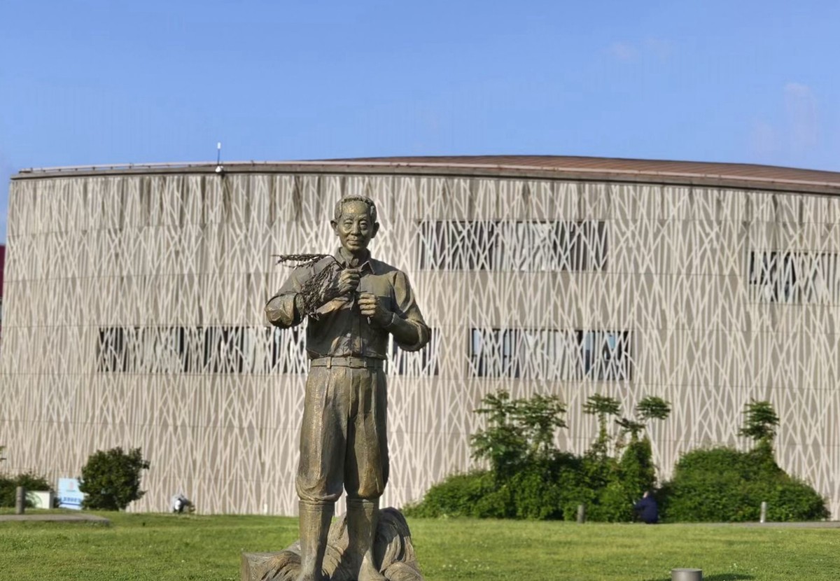 袁隆平水稻搏物馆