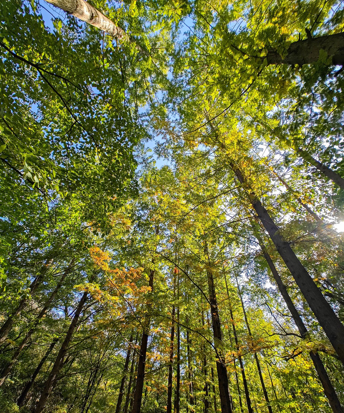 手机随拍20231026《255》