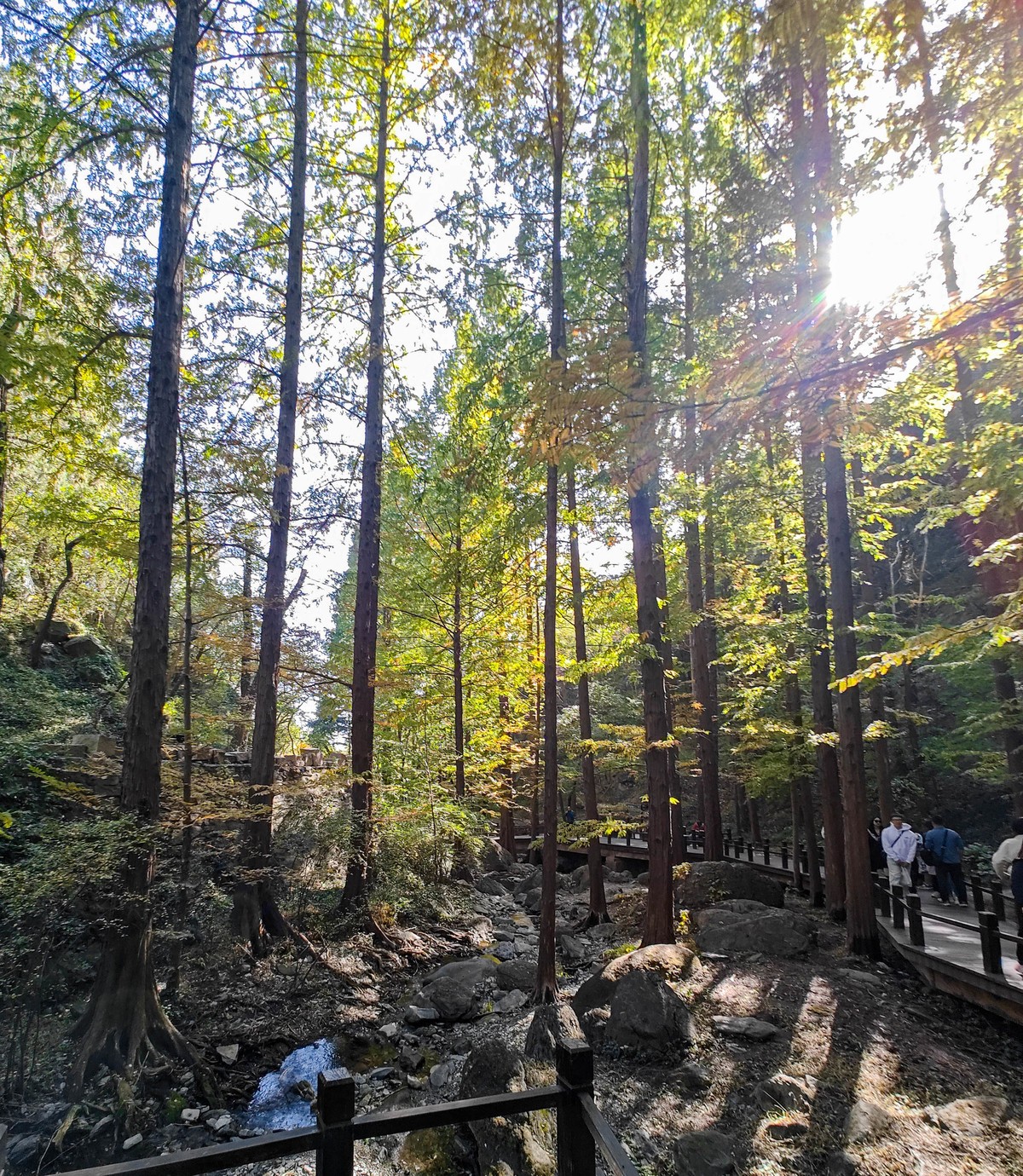 手机随拍20231026《255》