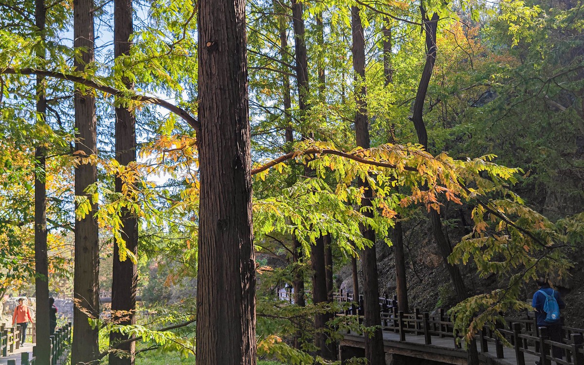 手机随拍20231026《255》