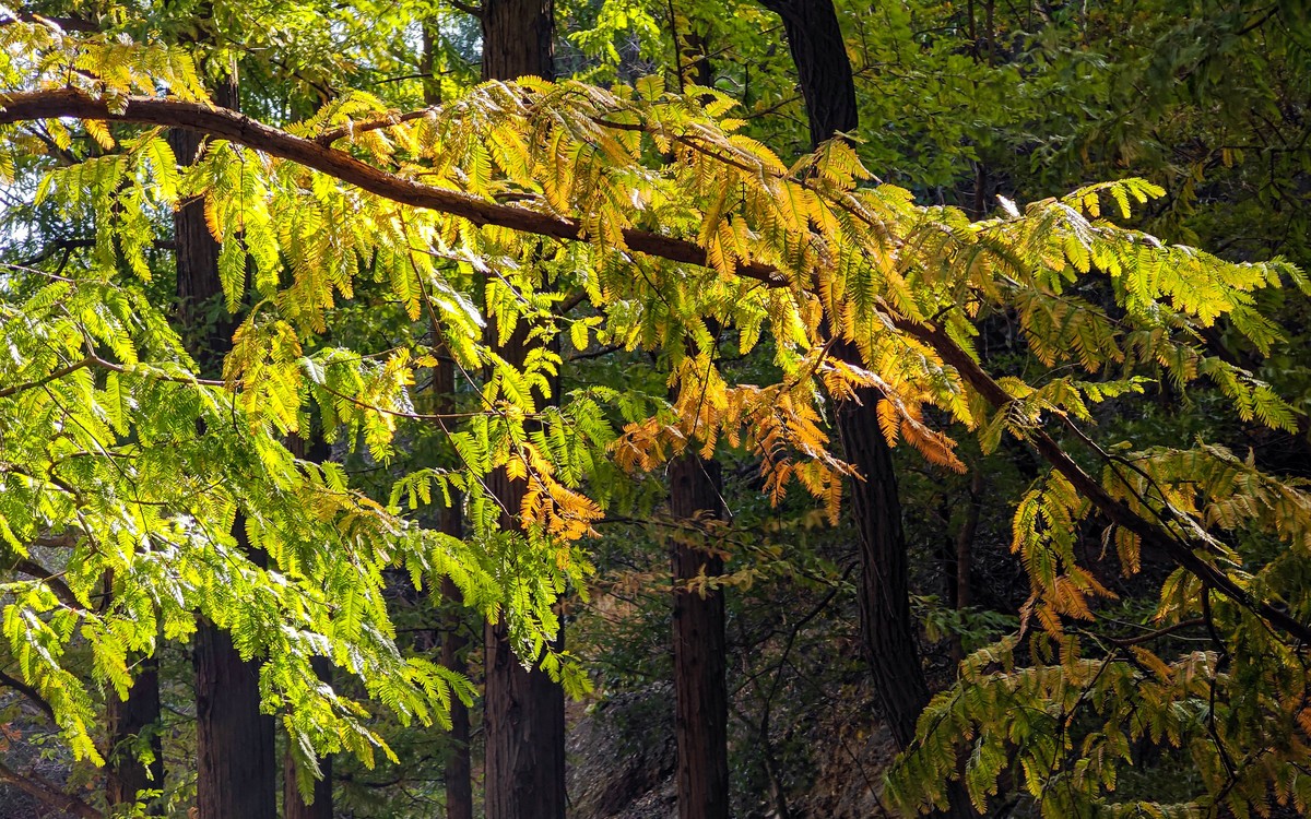 手机随拍20231026《255》