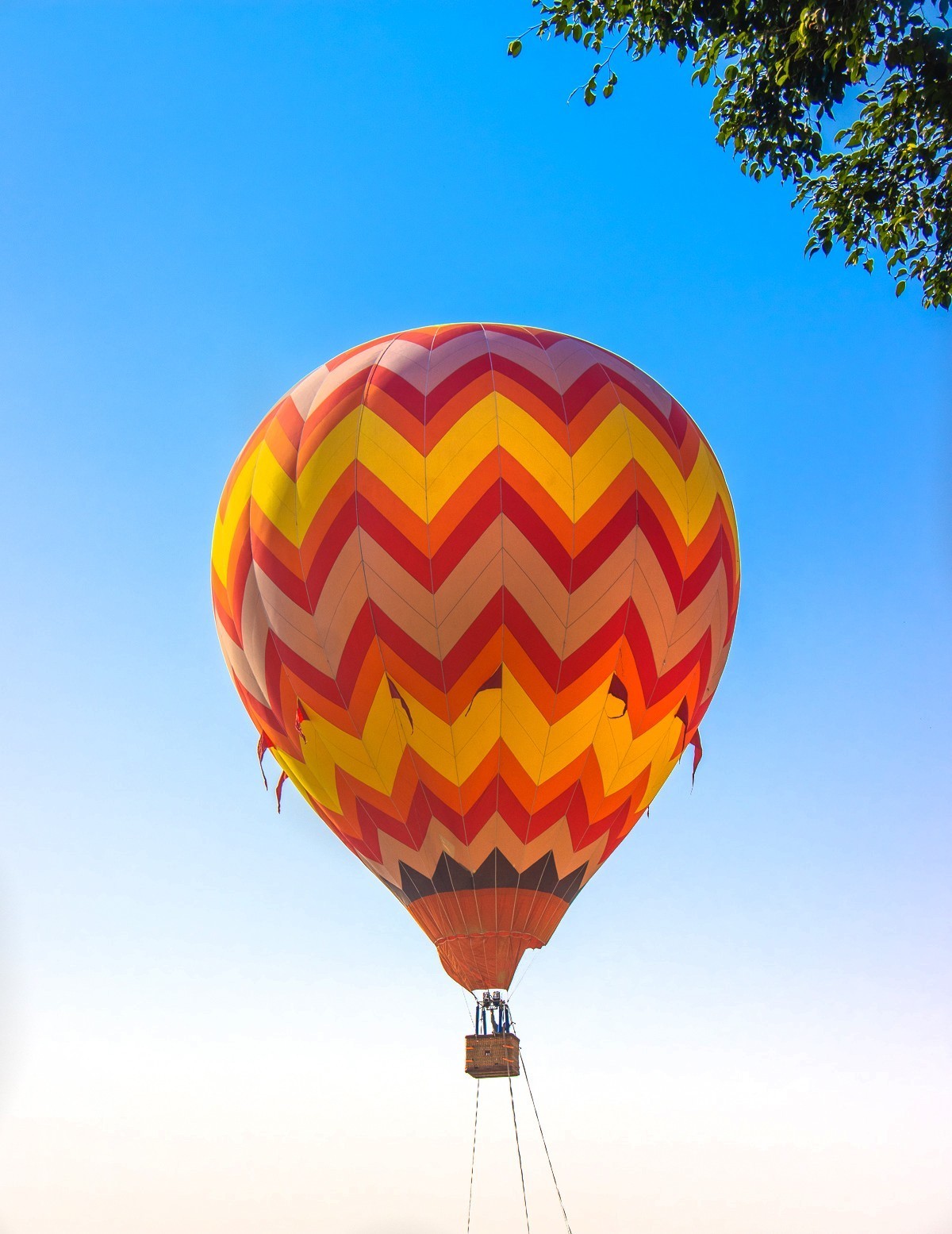 2024-05-19西双版纳勐海勐巴拉高尔夫球场（一）