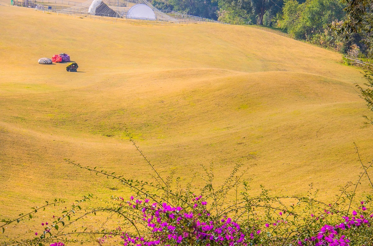 2024-05-19西双版纳勐海勐巴拉高尔夫球场（一）