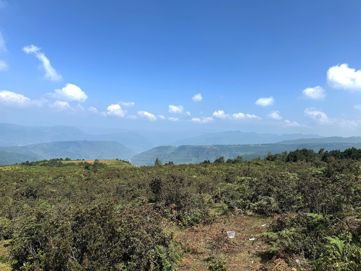 乌蒙大草原---:贵州[手机图】2