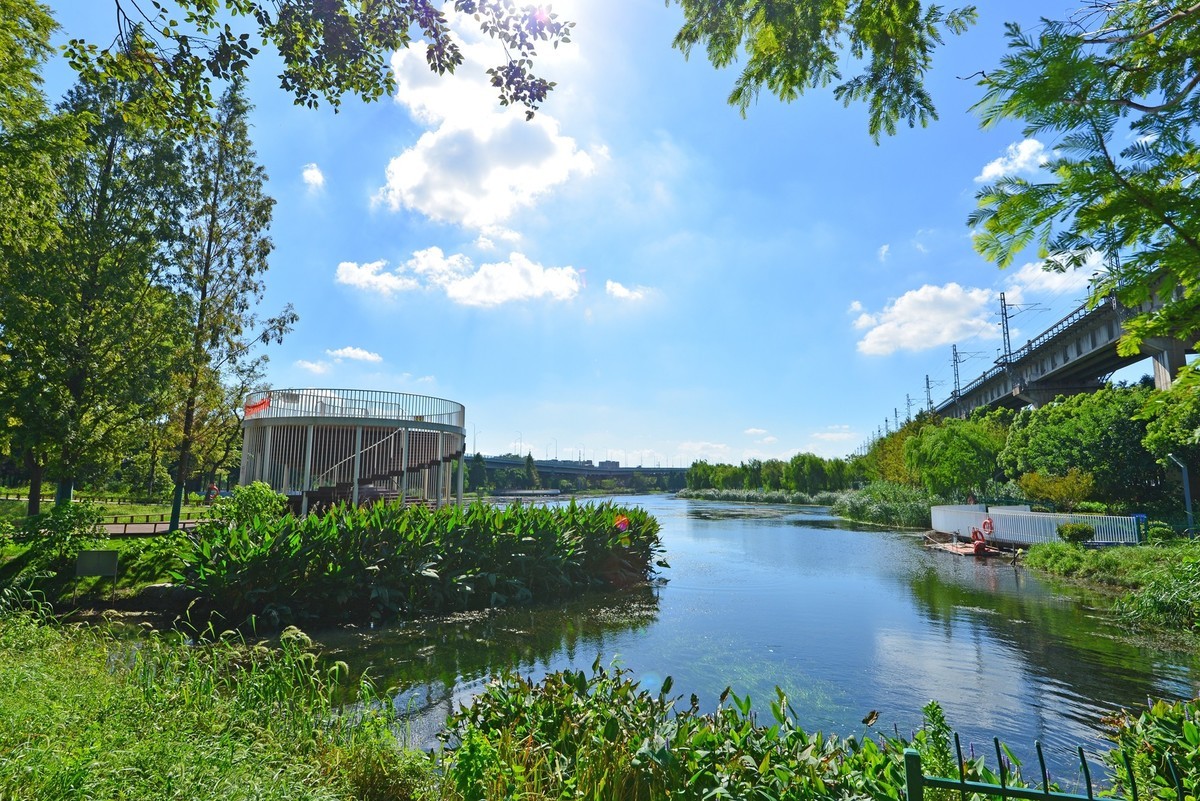 秋高气爽（续）