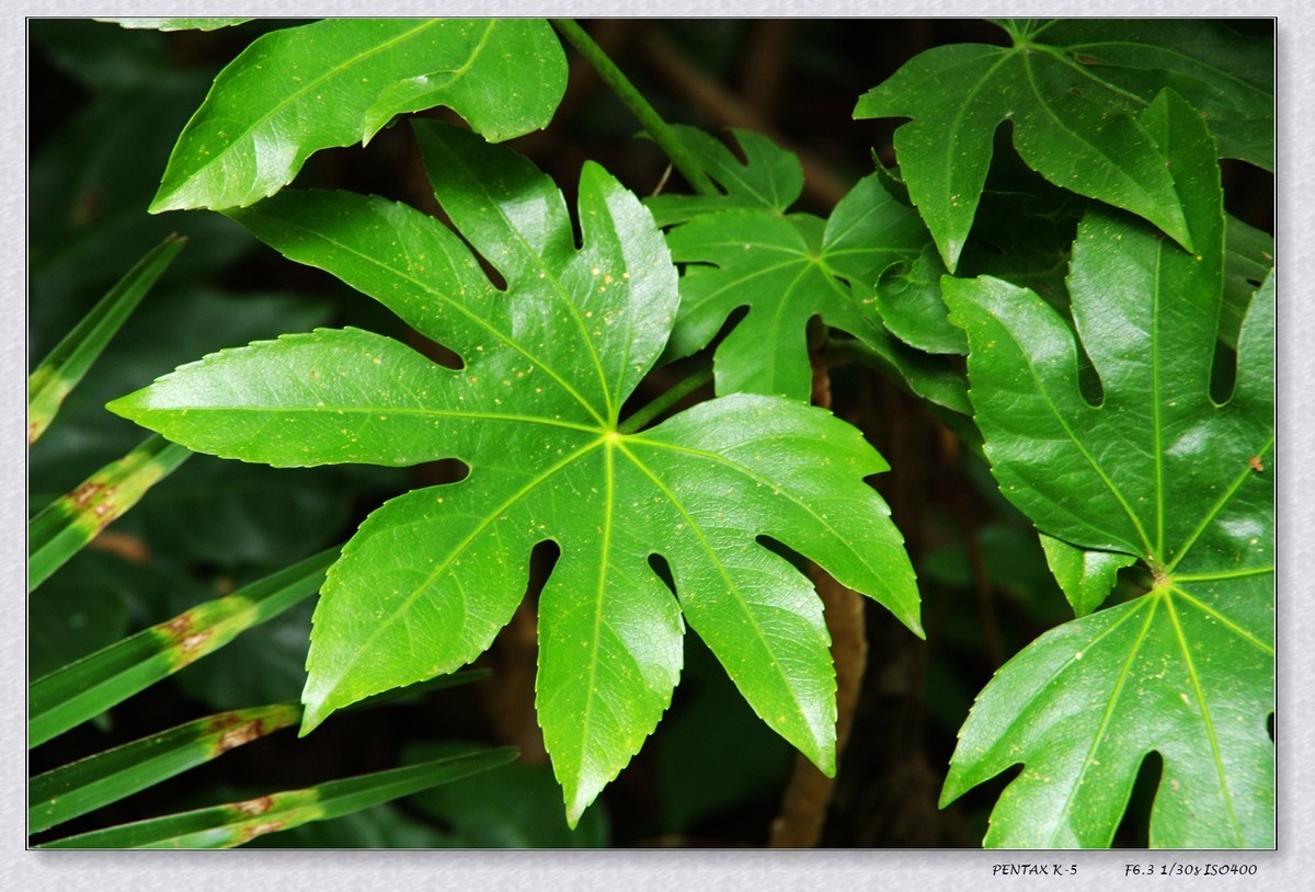 10月13日公园扫街