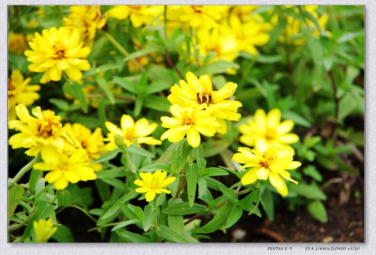 10月13日公园扫街