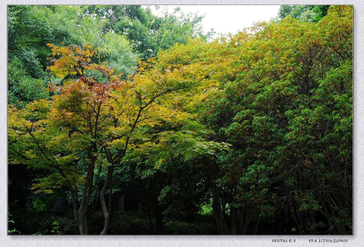 10月13日公园扫街
