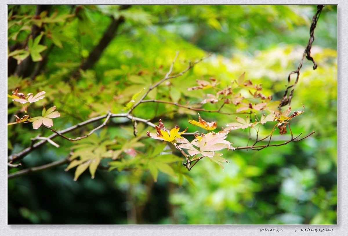10月13日公园扫街