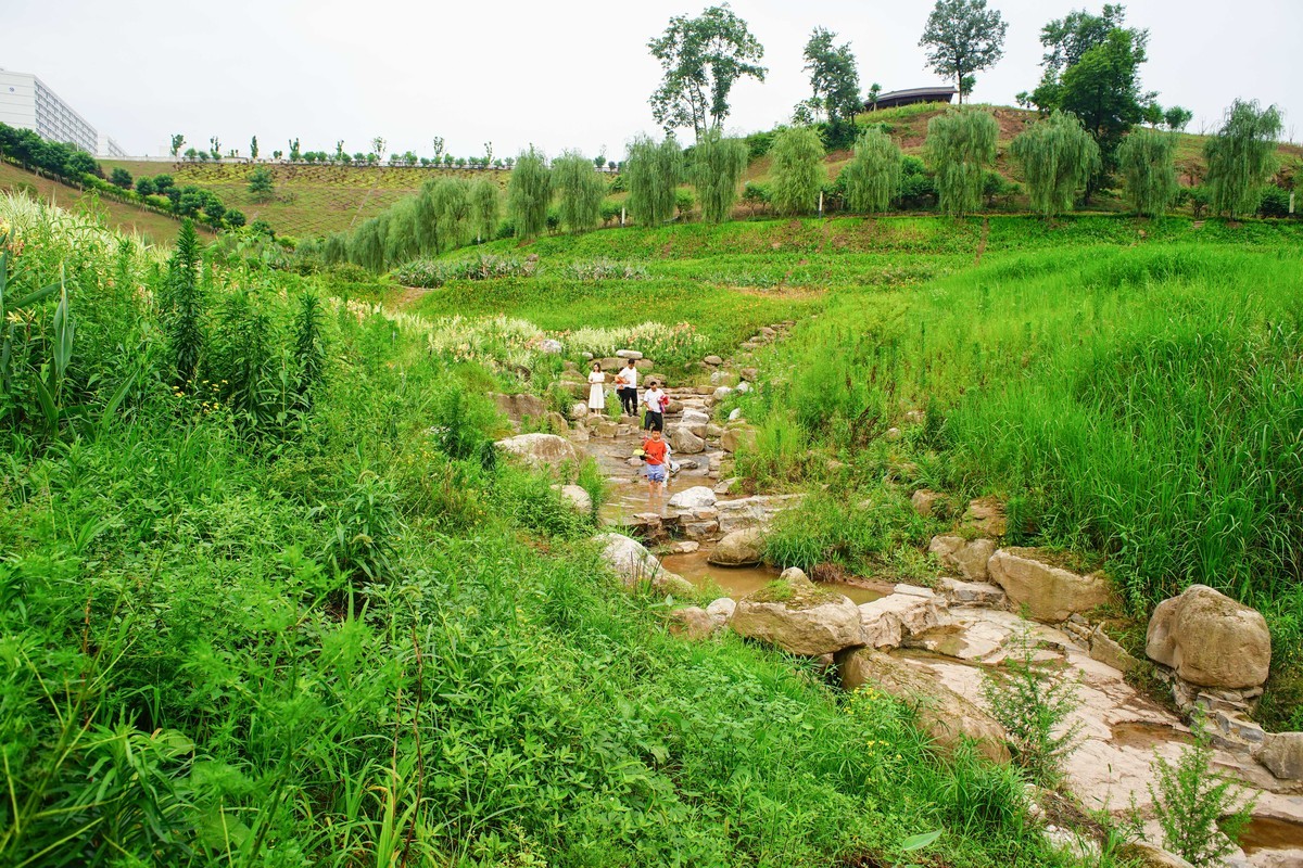 竹溪河公园花田湿地广场